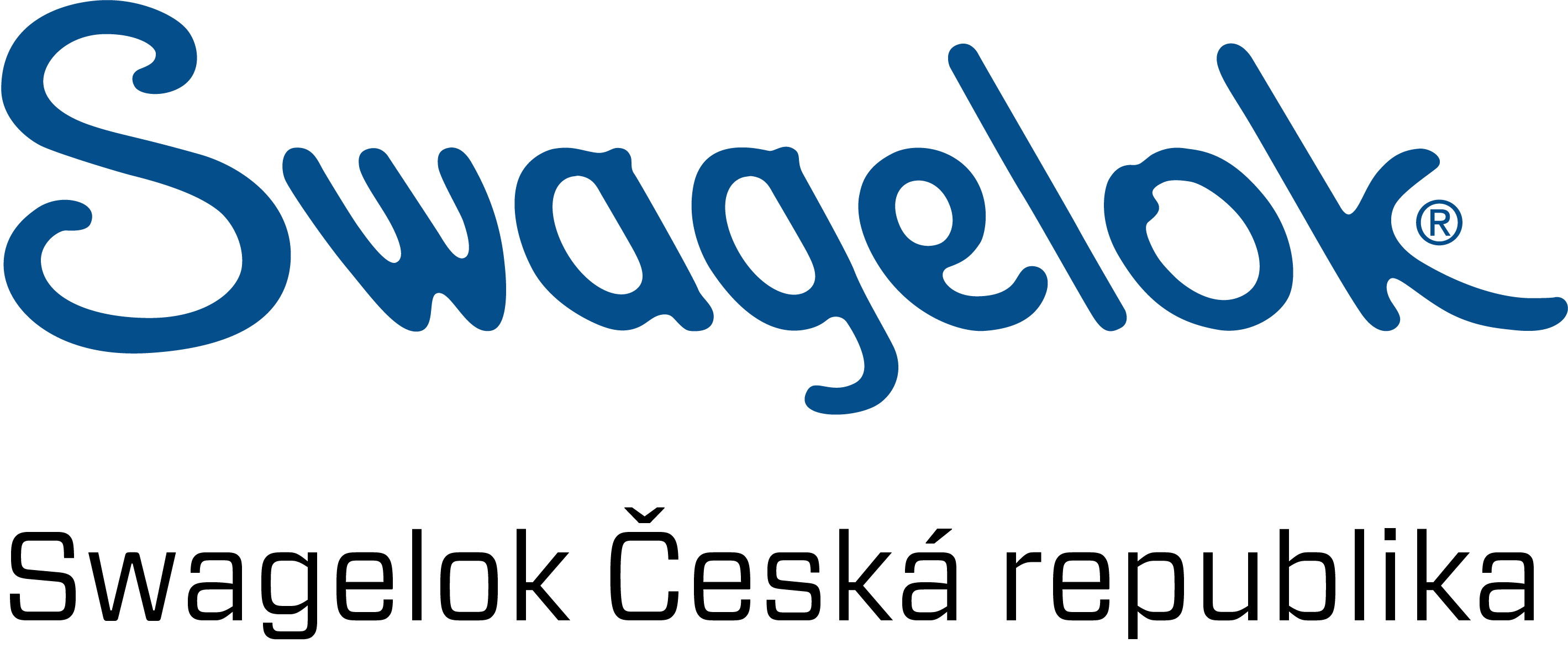 logo Swagelok Czech Republic